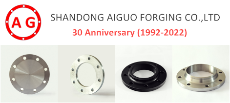 AG Flange - عرض كرنفال الذكرى الثلاثين!